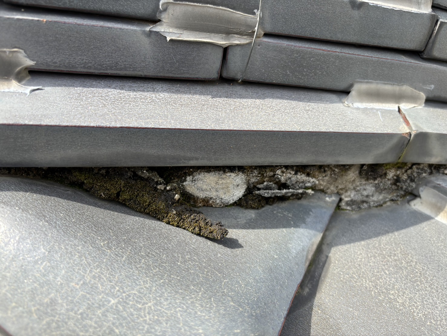 四日市市にて屋根瓦点検、棟の三日月部分に苔やカビが発生した劣化状態