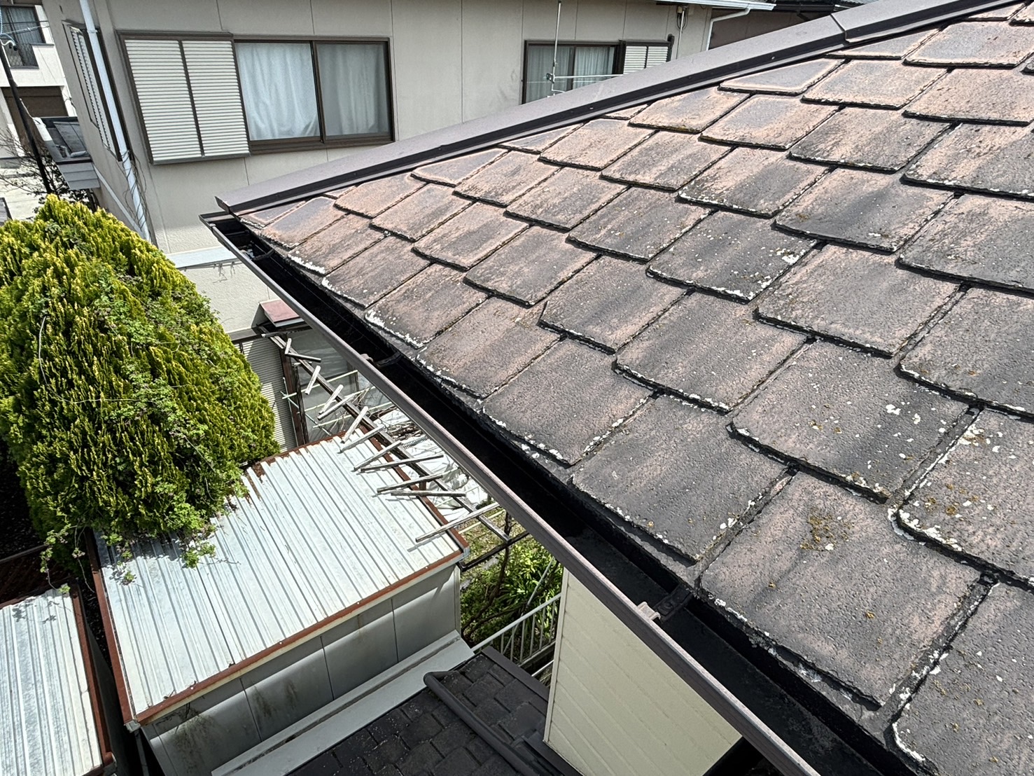 鈴鹿市のクボタアーバニーに似たスレート屋根材苔の生えた状態