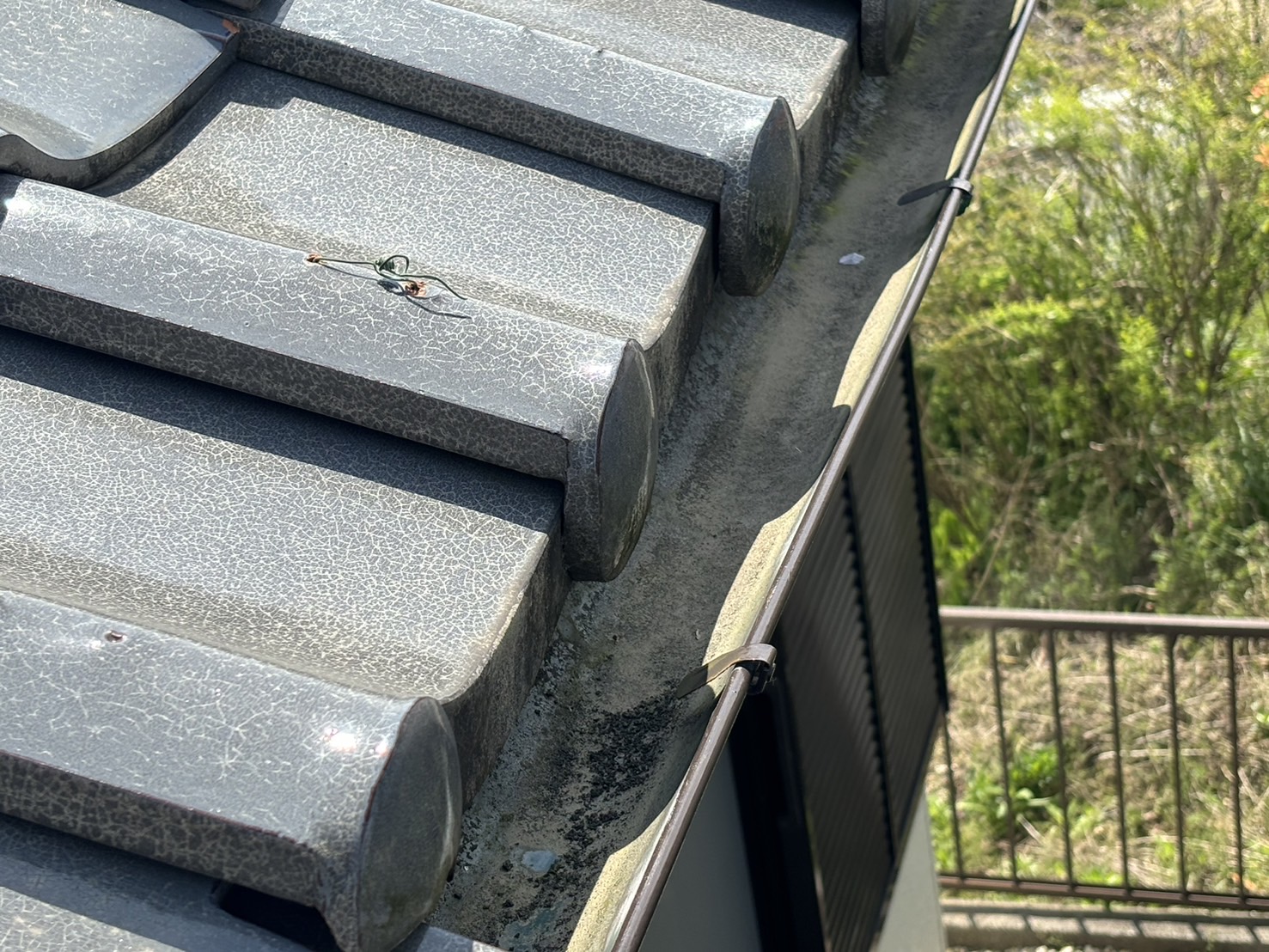 菰野町雨樋破損、落雪で軒樋の変形状態