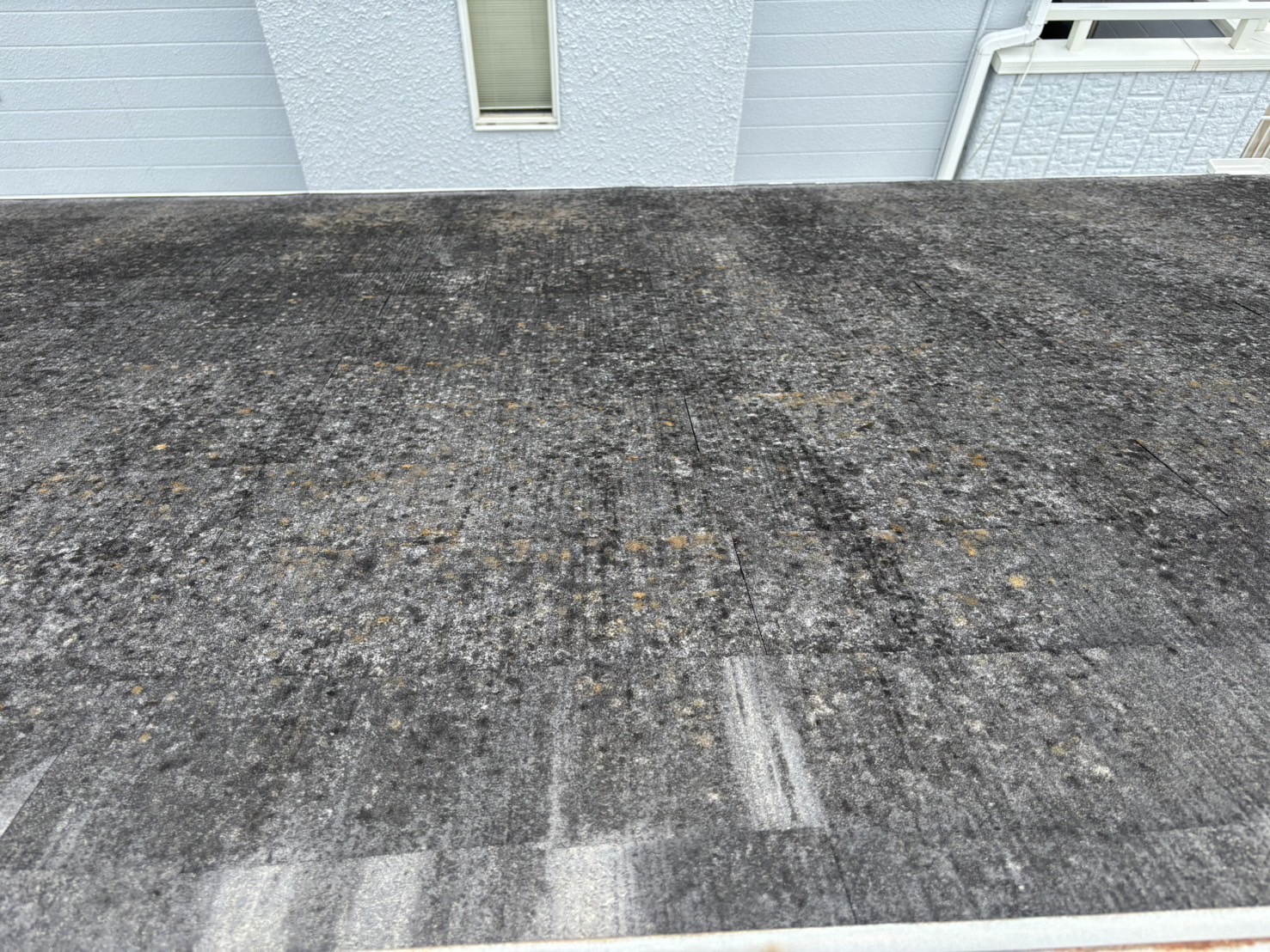 四日市市伊坂台にて黒カビとコケで劣化したコロニアル屋根材の劣化状況