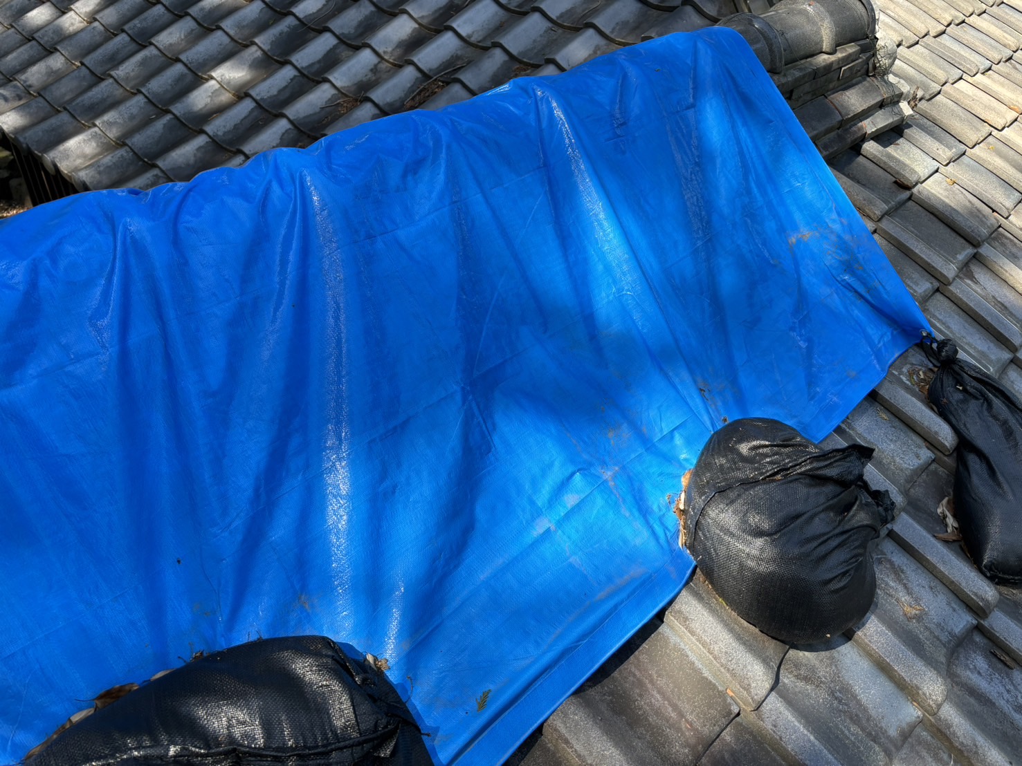 鈴鹿市の神社古い屋根瓦から雨漏れブルーシートにより雨養生している状況