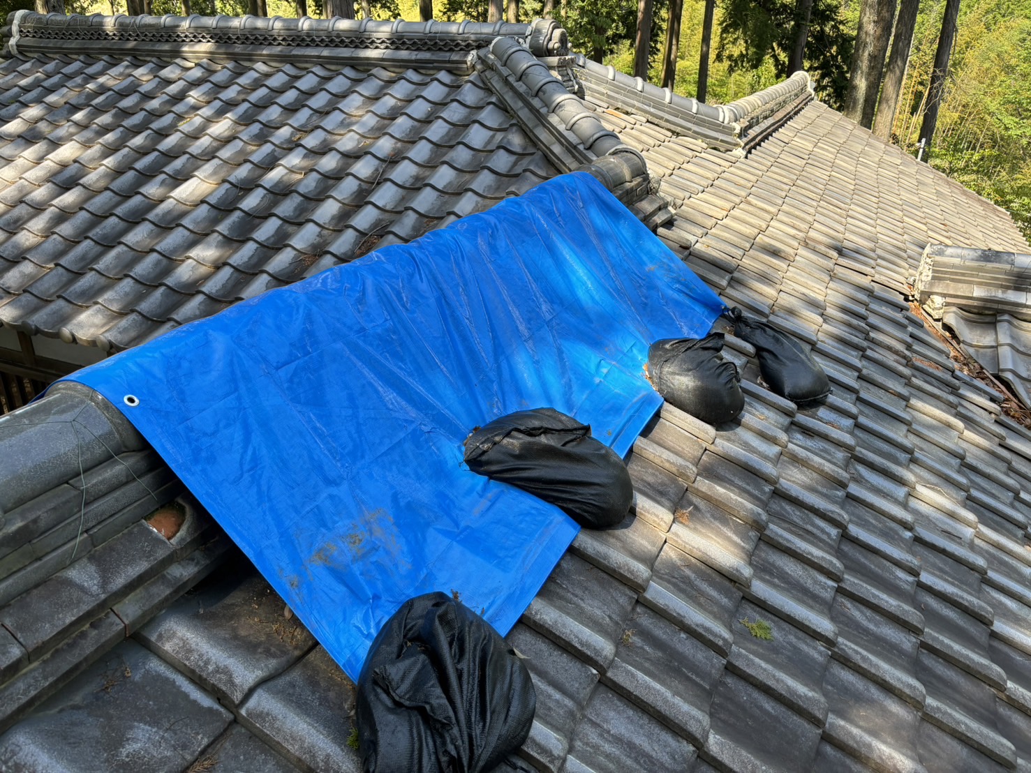 鈴鹿市の神社古い屋根瓦から雨漏れブルーシートにより雨養生