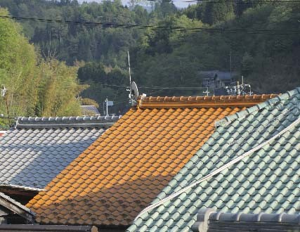 松阪市、防風林の付近屋根