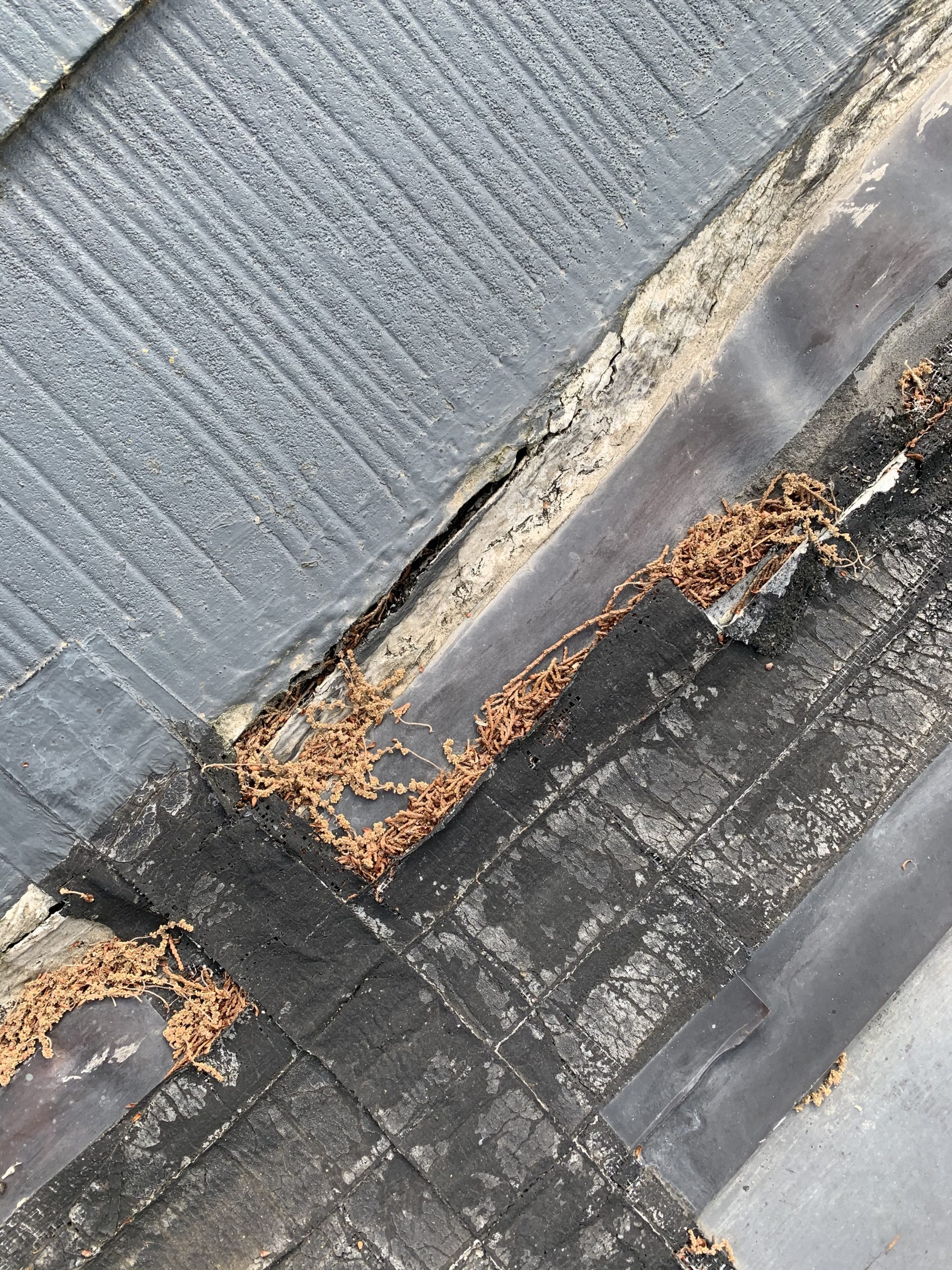 増築部分からの雨漏り