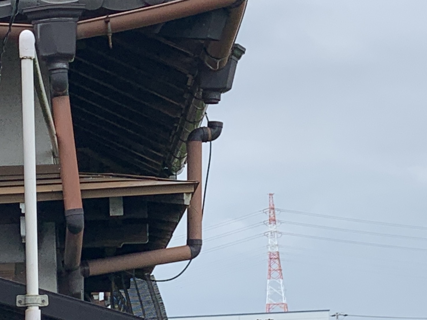 桑名市の屋根の無料点検、雨樋破損