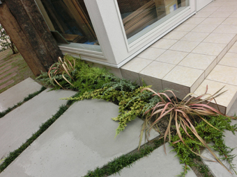 A様邸・A様店舗の外構工事5　様々な植栽