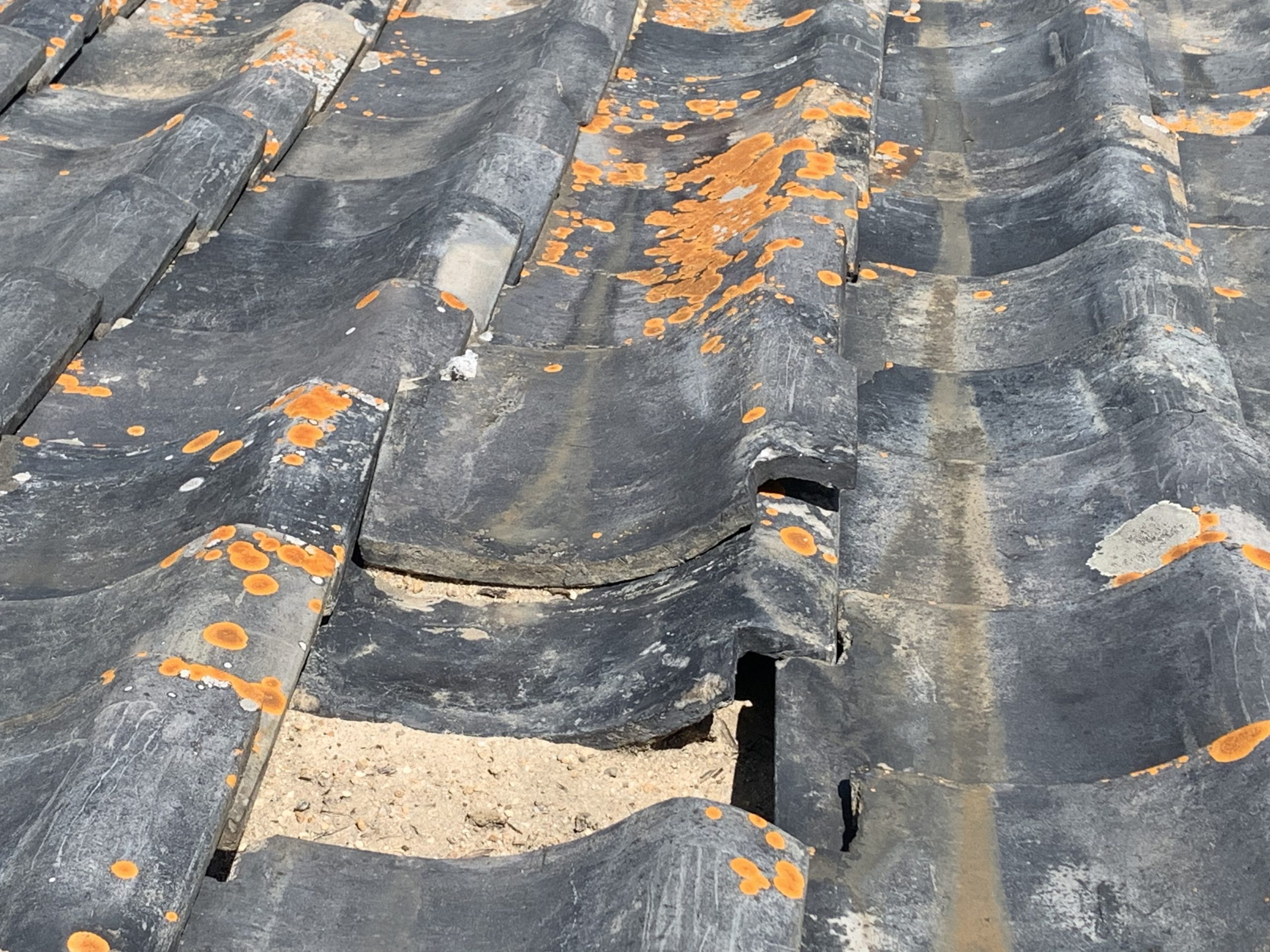 津市の雨漏り発生の瓦屋根