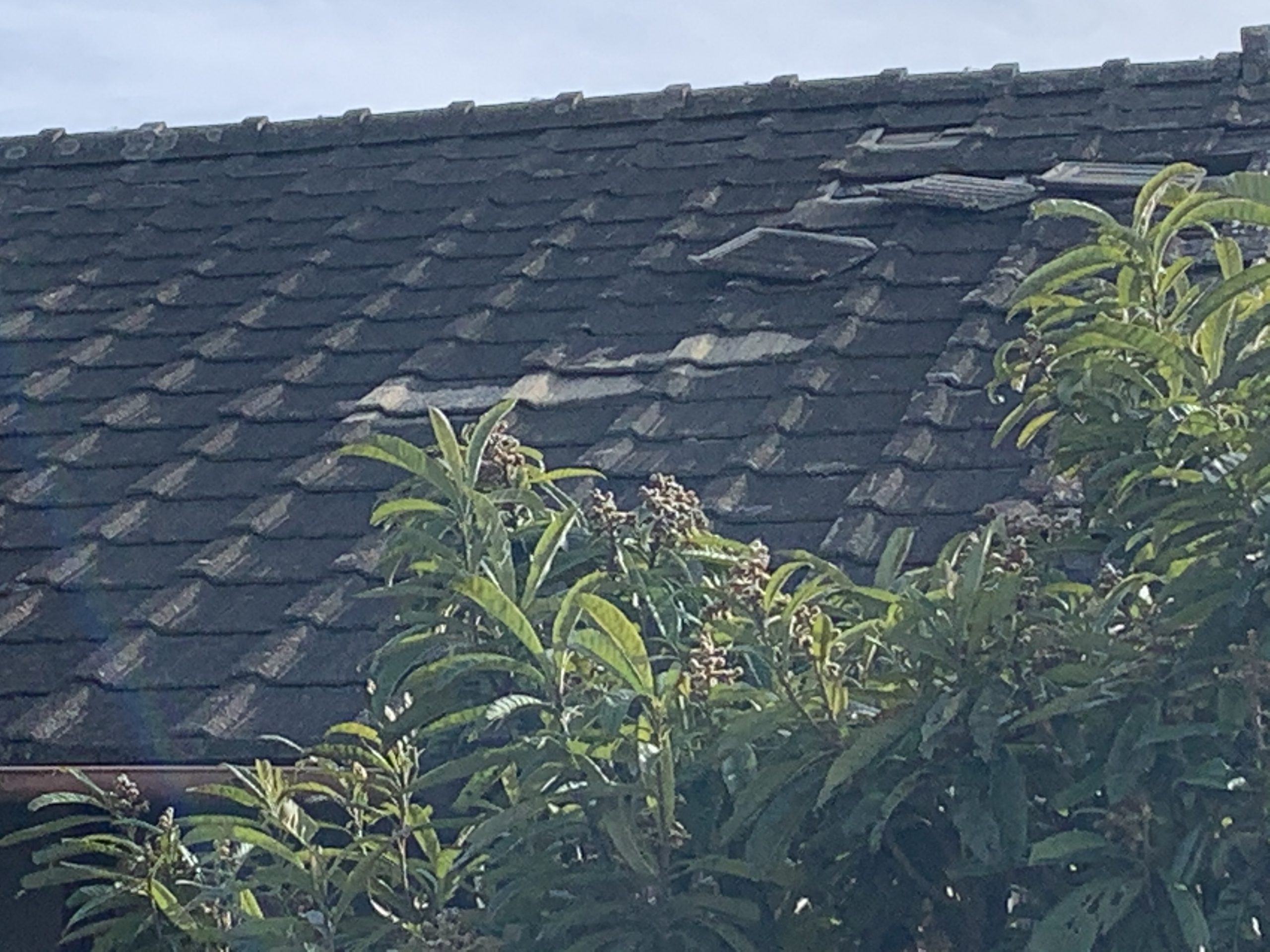 四日市市の雨漏り発生現場