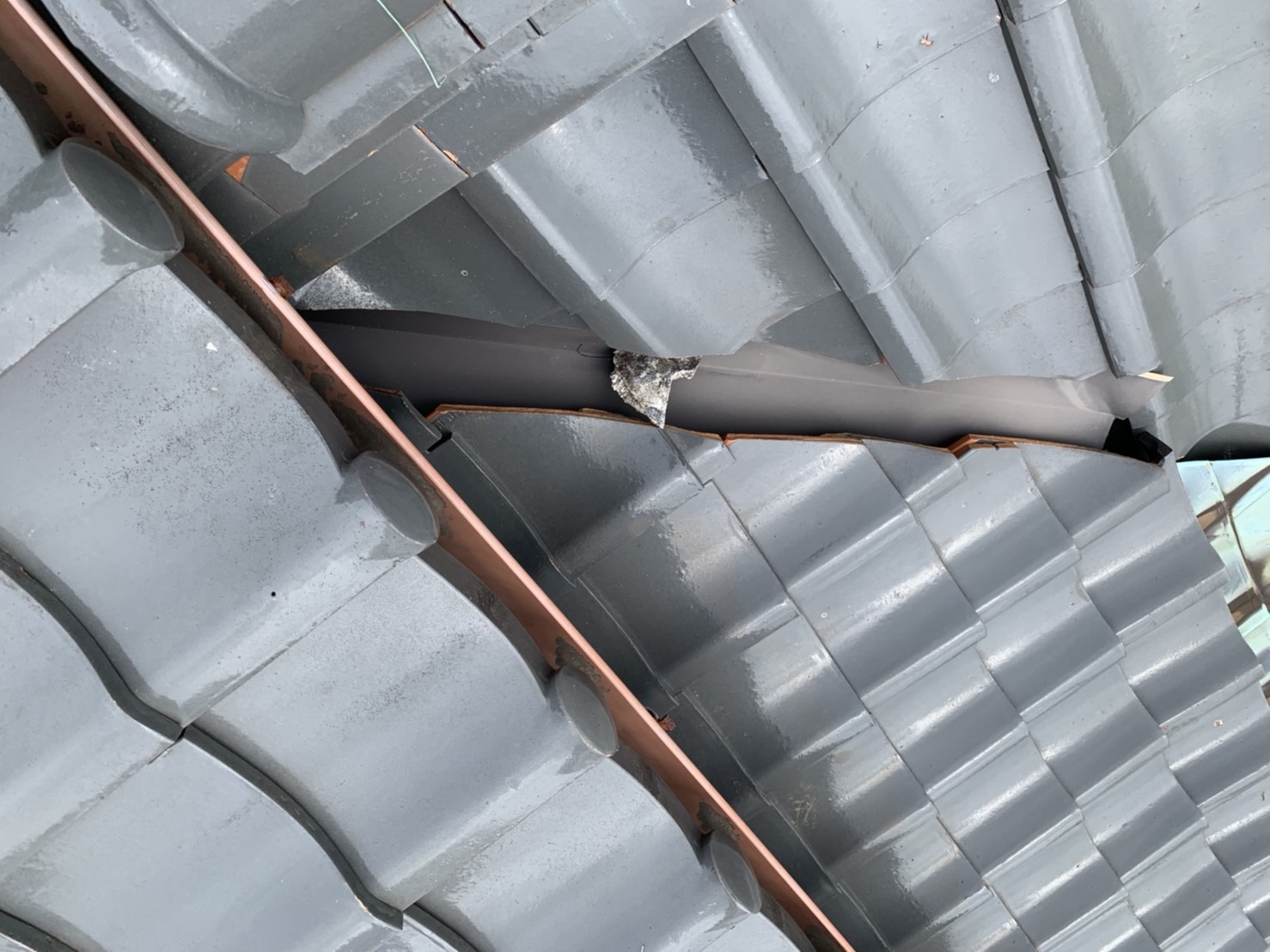 桑名市、屋根の無料点検、漆喰