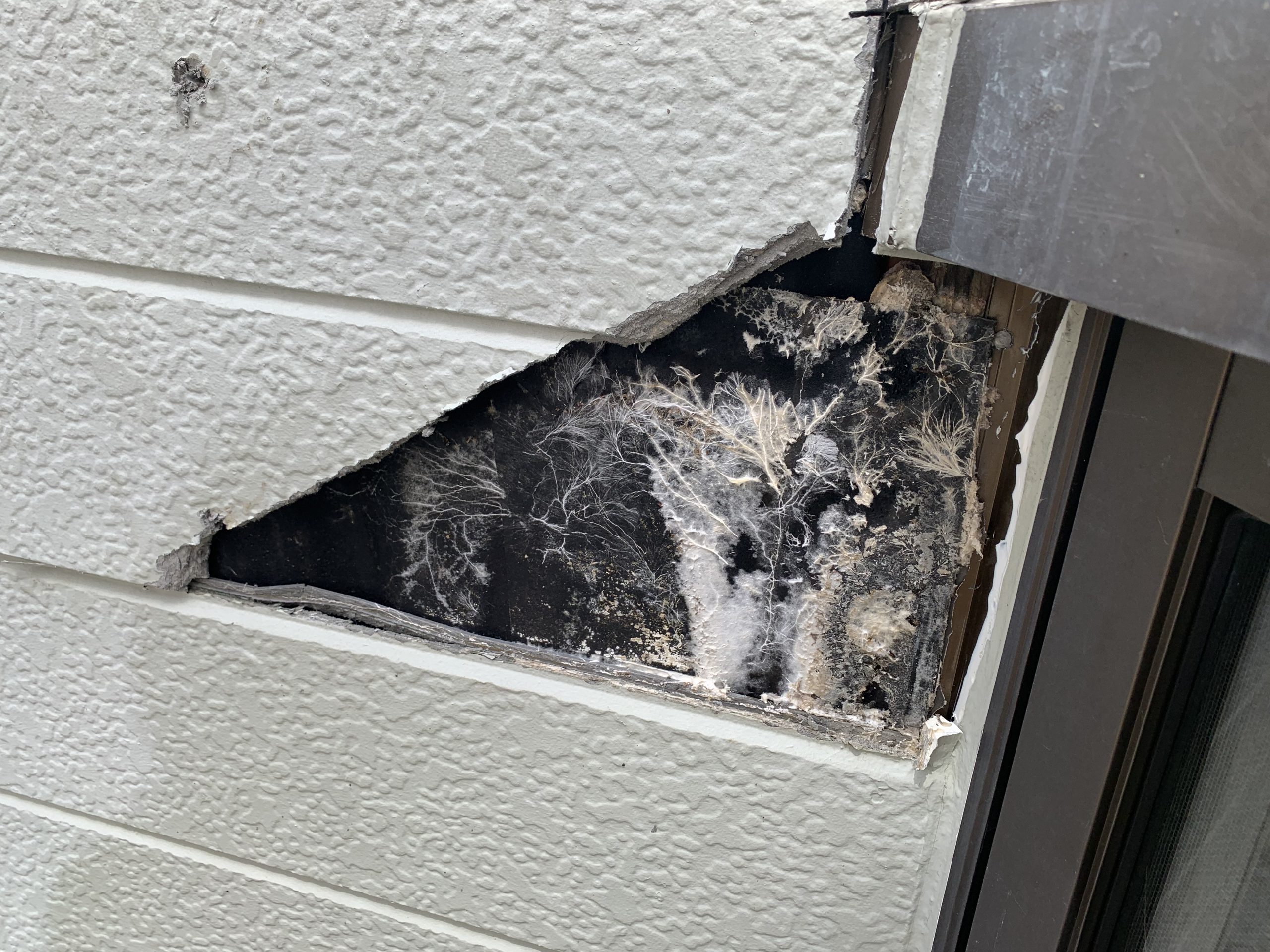 桑名屋根以外の雨漏り