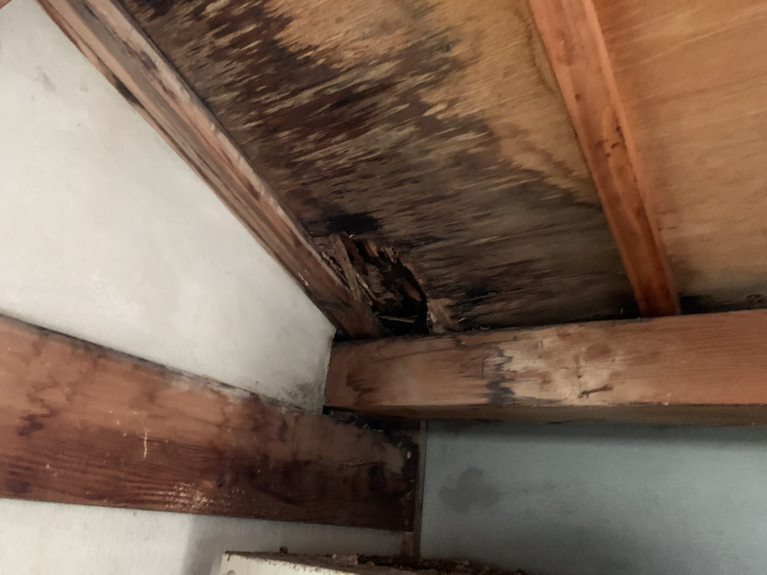 四日市市の雨漏り発生