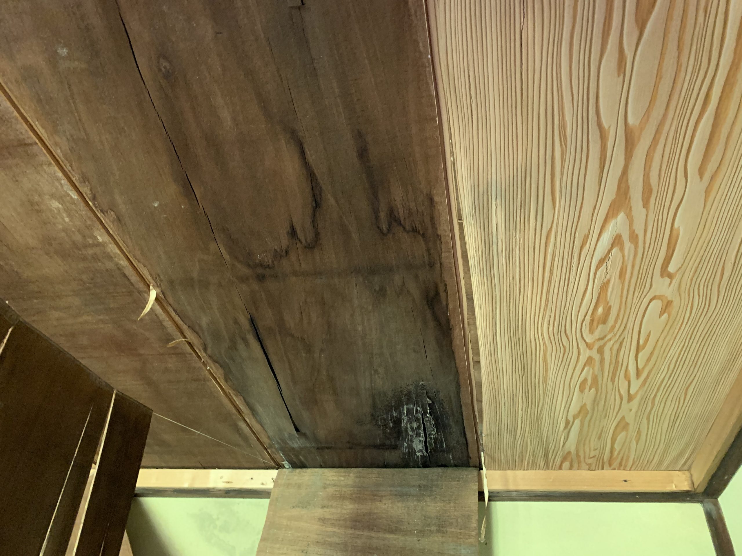 津市の雨漏り発生の室内