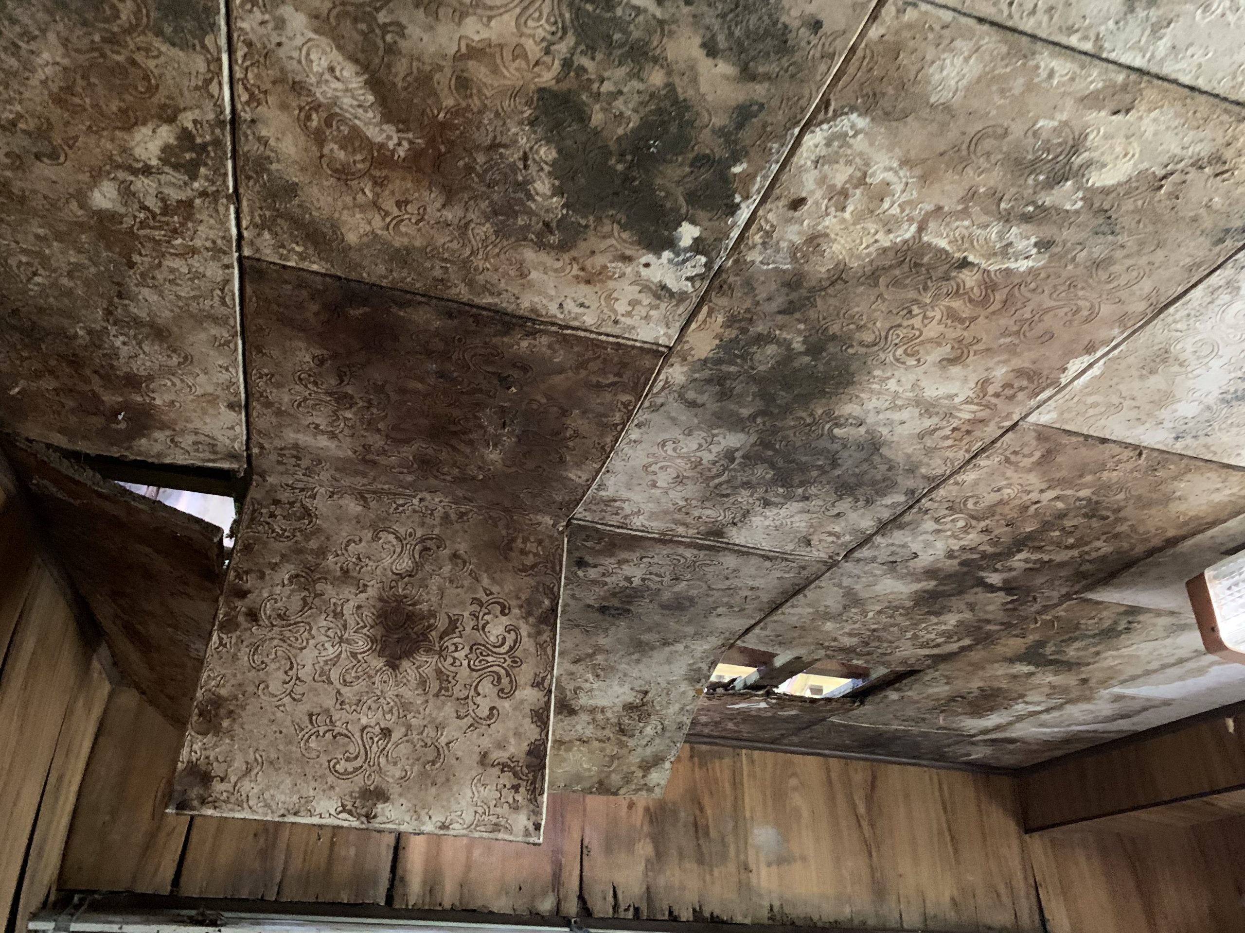 津市の雨漏り発生の室内