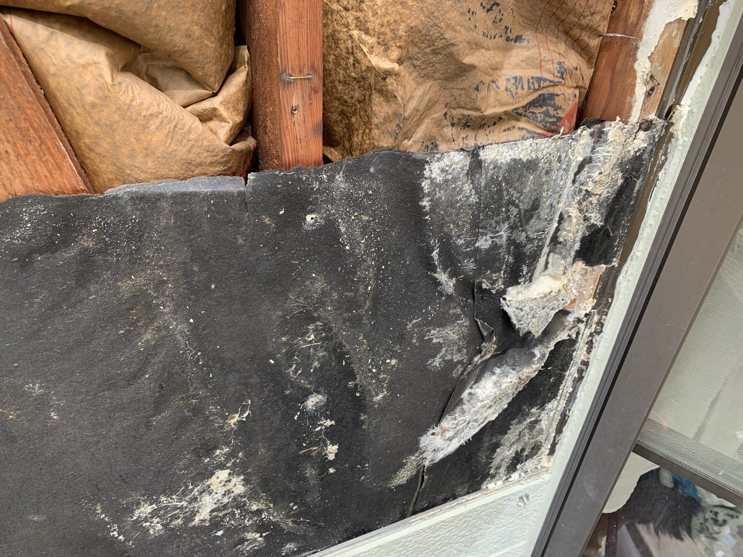 桑名屋根以外の雨漏り