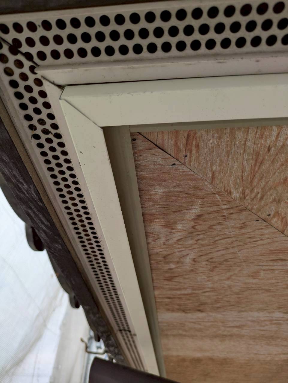 四日市市軒天張替え