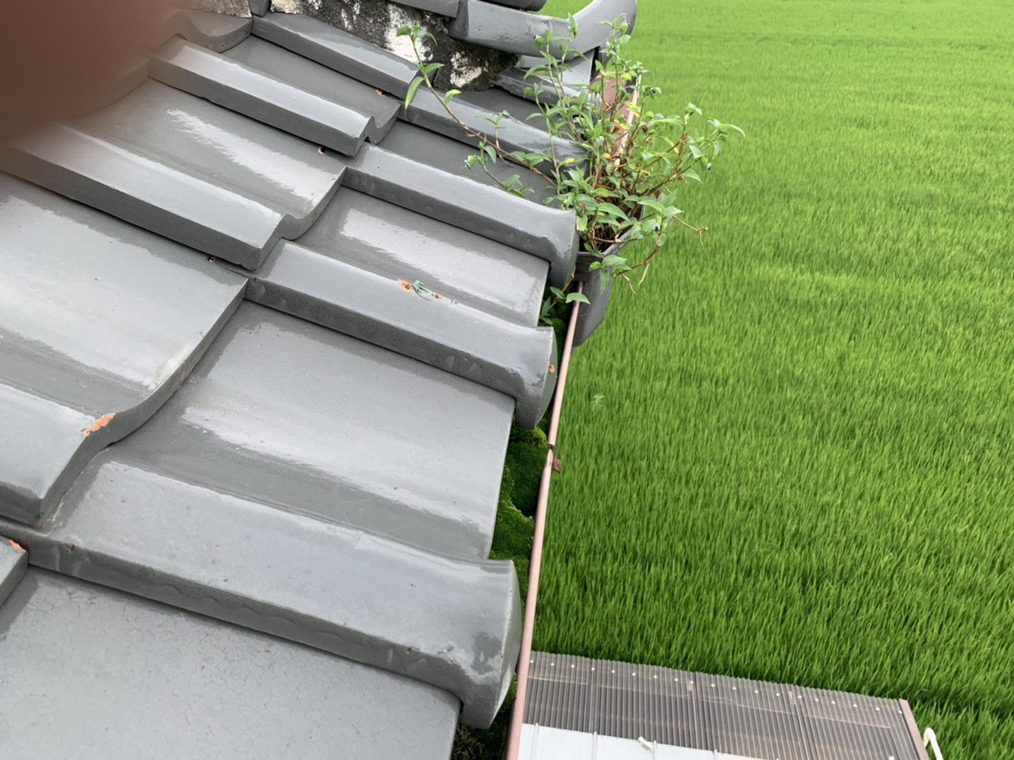 桑名市の雨漏り調査、屋根の無料点検