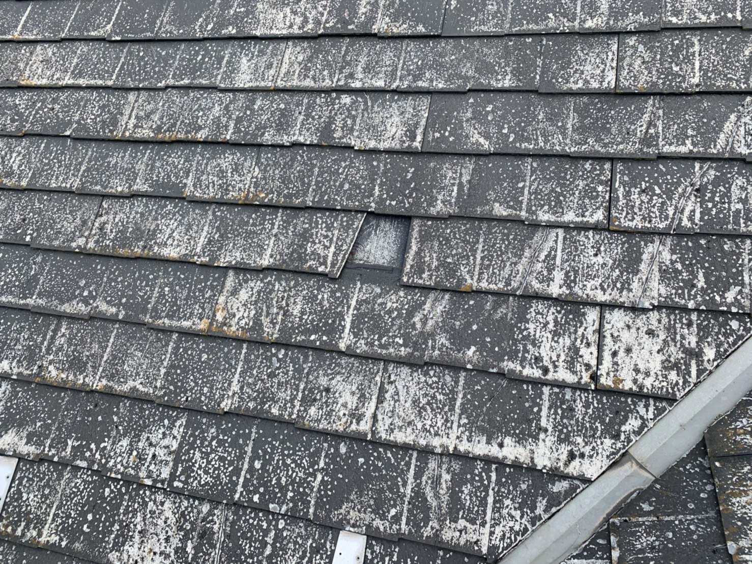 四日市市、パミール、カバー工法