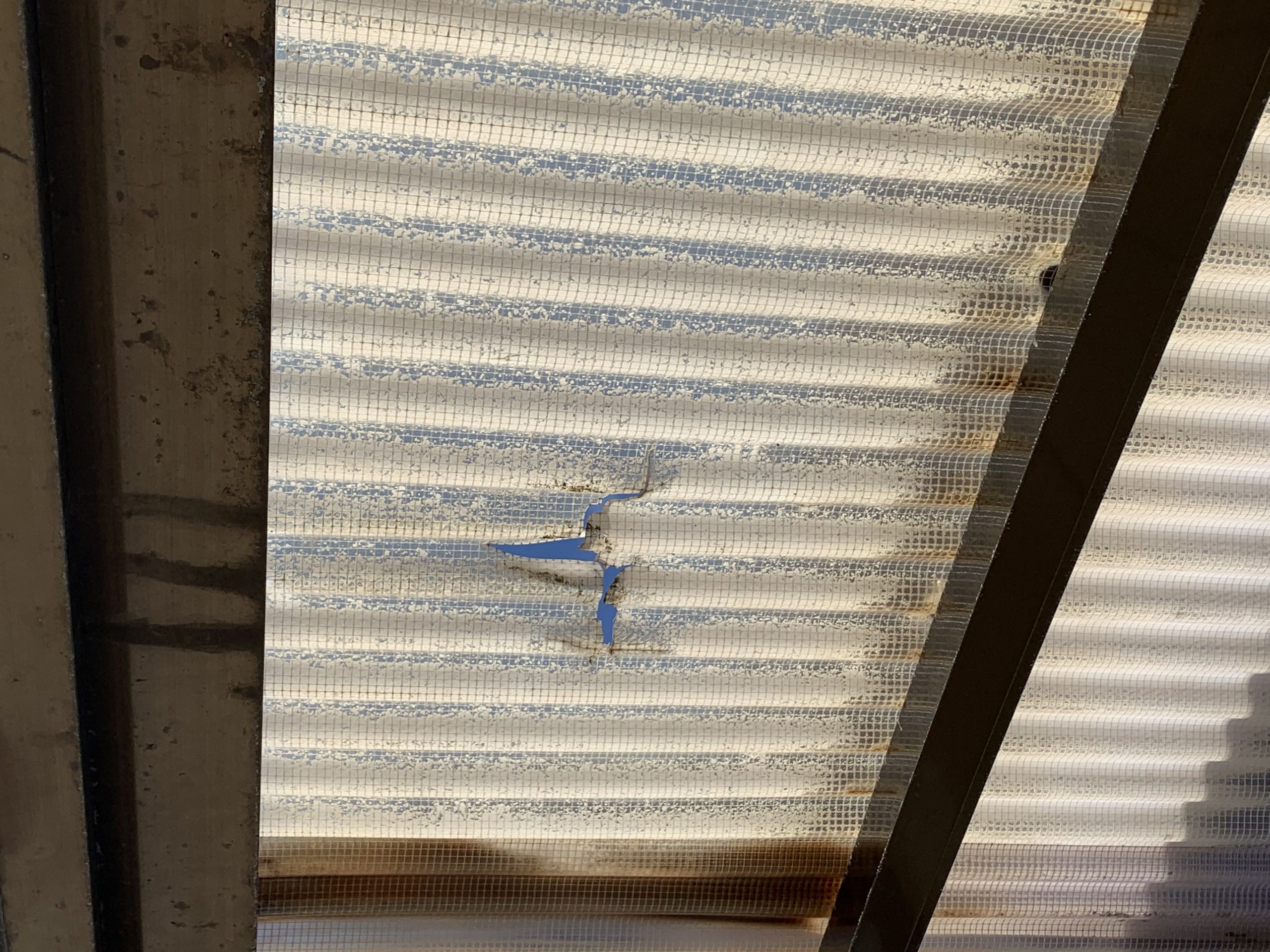 雪で割れた波板