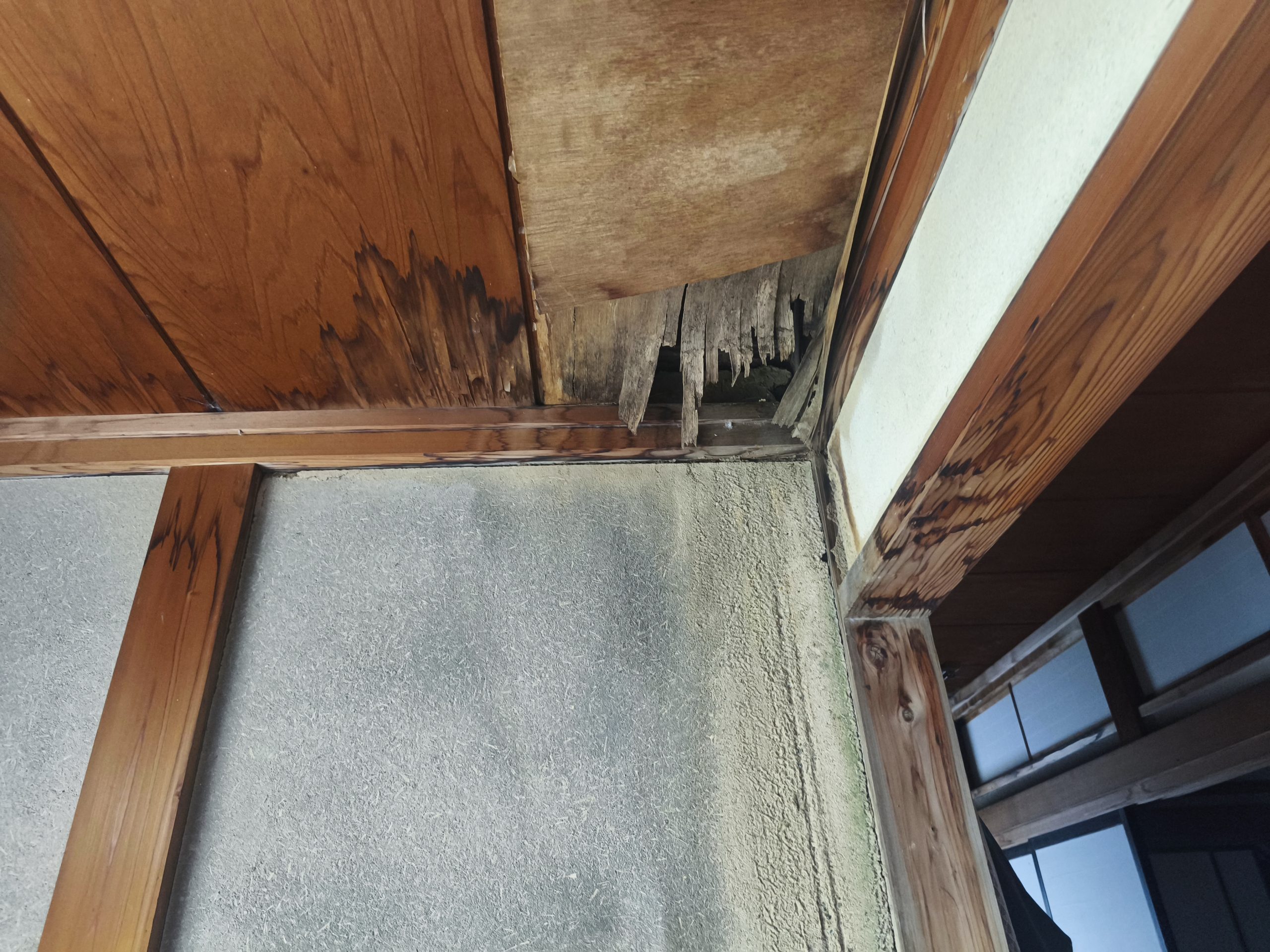 室内天井の損傷