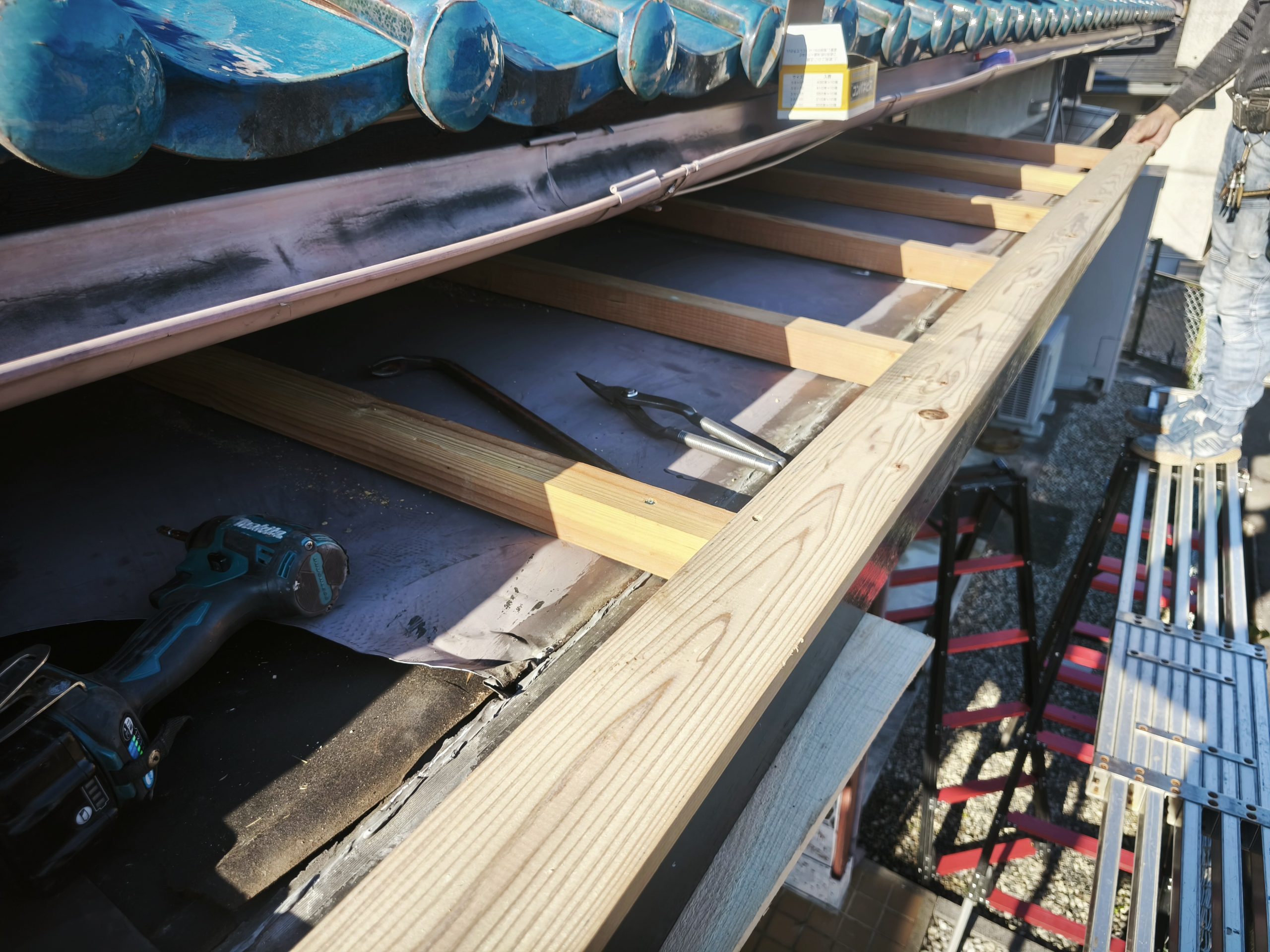 新規野地板の施工