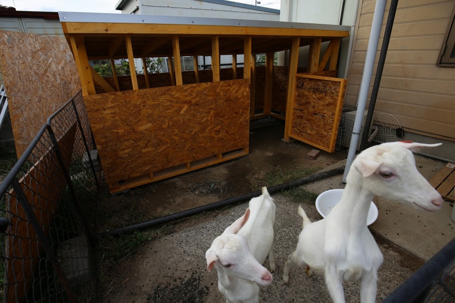 やぎ小屋、ペット小屋