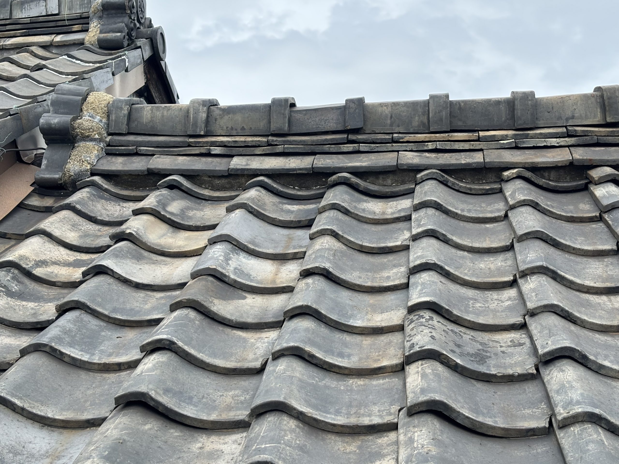 築50年以上の桑名市の和瓦屋根の全景