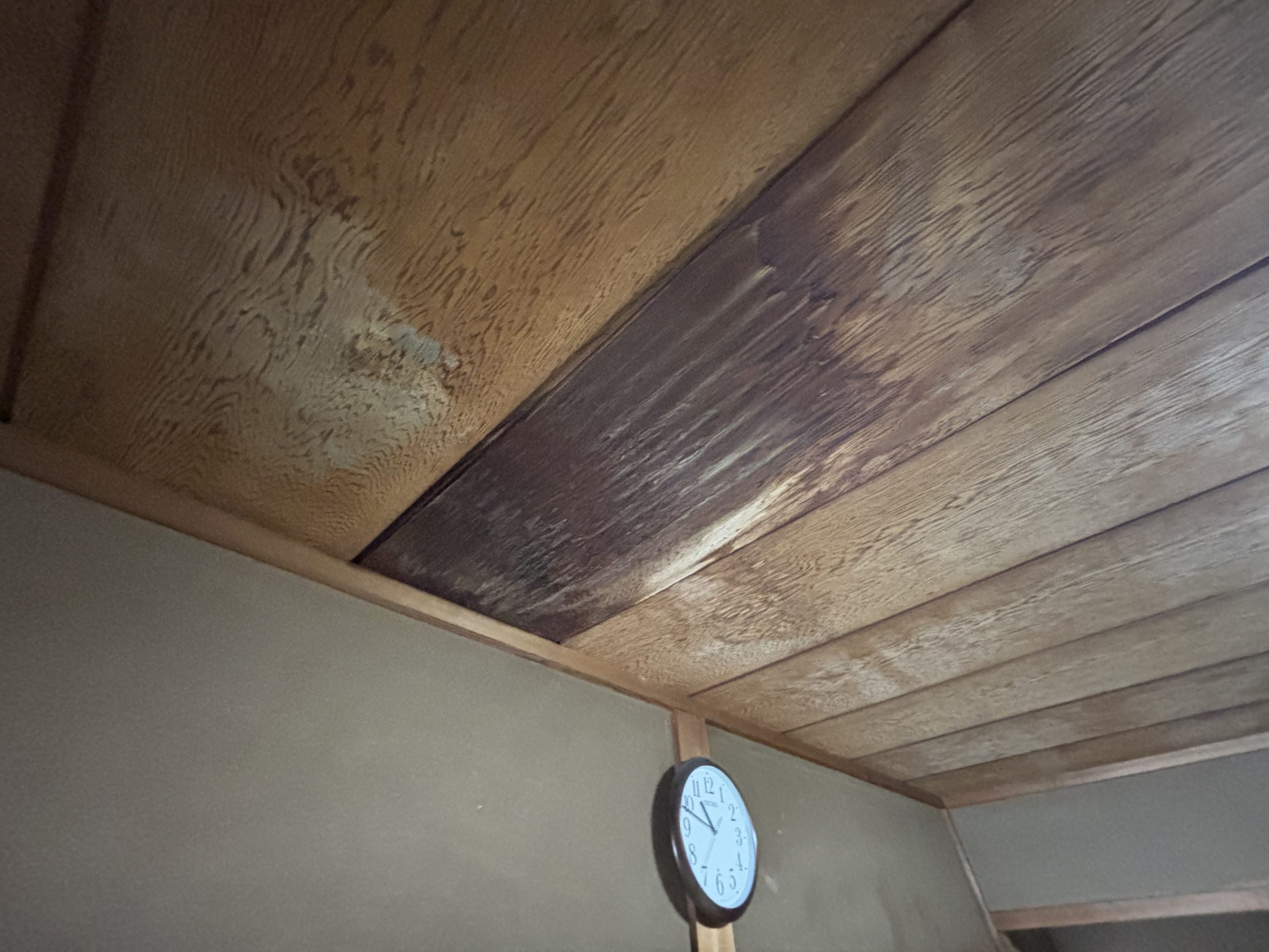 和室天井に広がる雨染み。雨水が天井材を通って浸出している様子が分かる四日市市