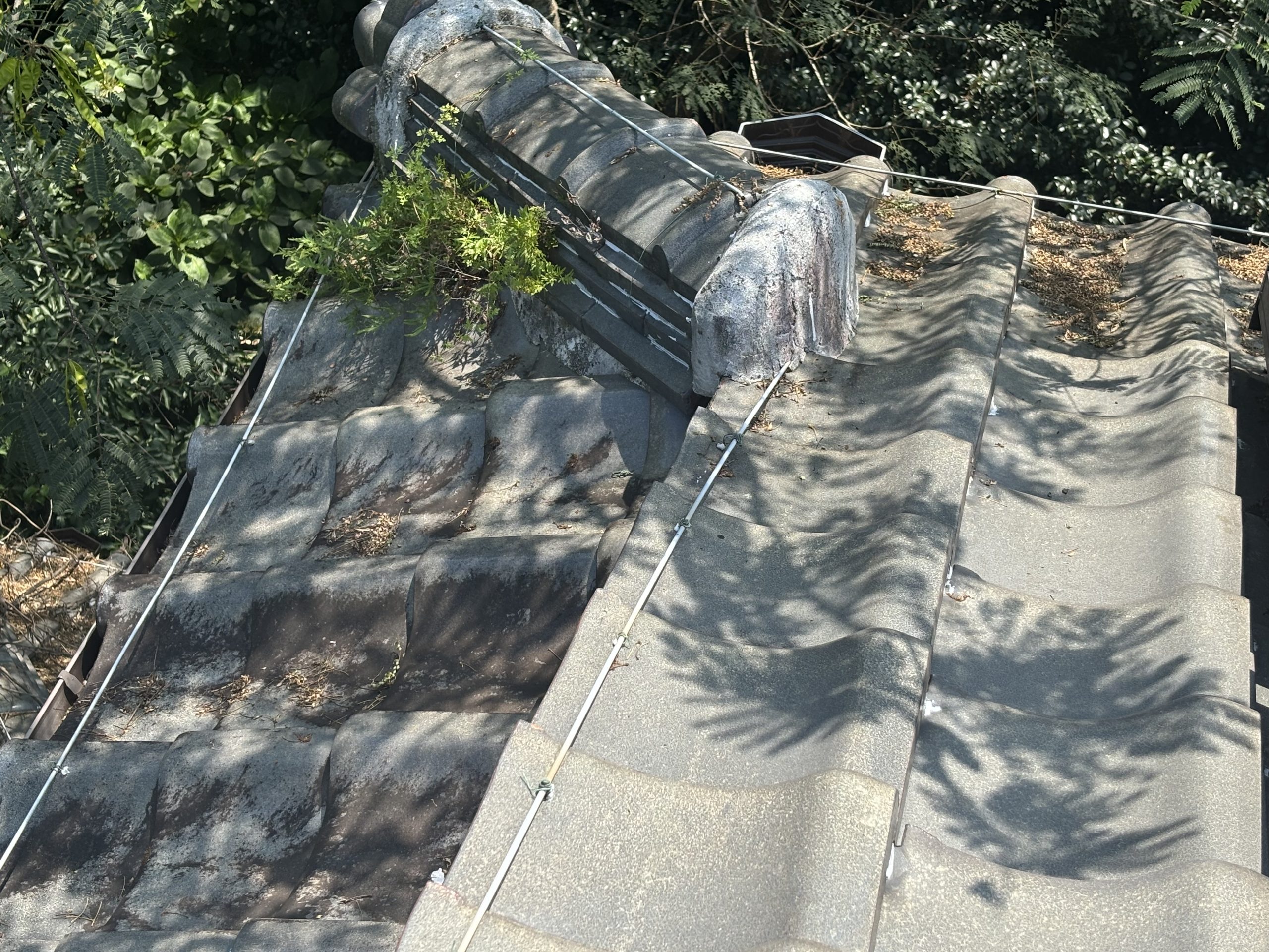 棟の面戸漆喰に上塗りが重ねられ、層状にはがれている様子（四日市市三滝台）