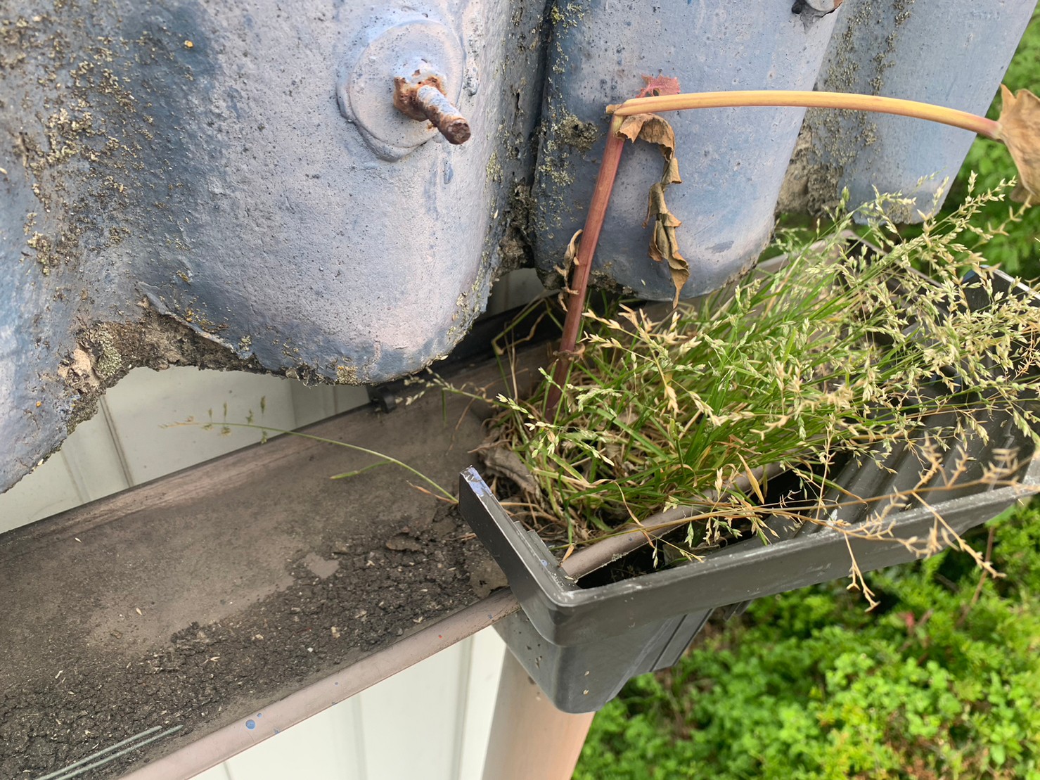 桑名市雨樋詰まり抜き