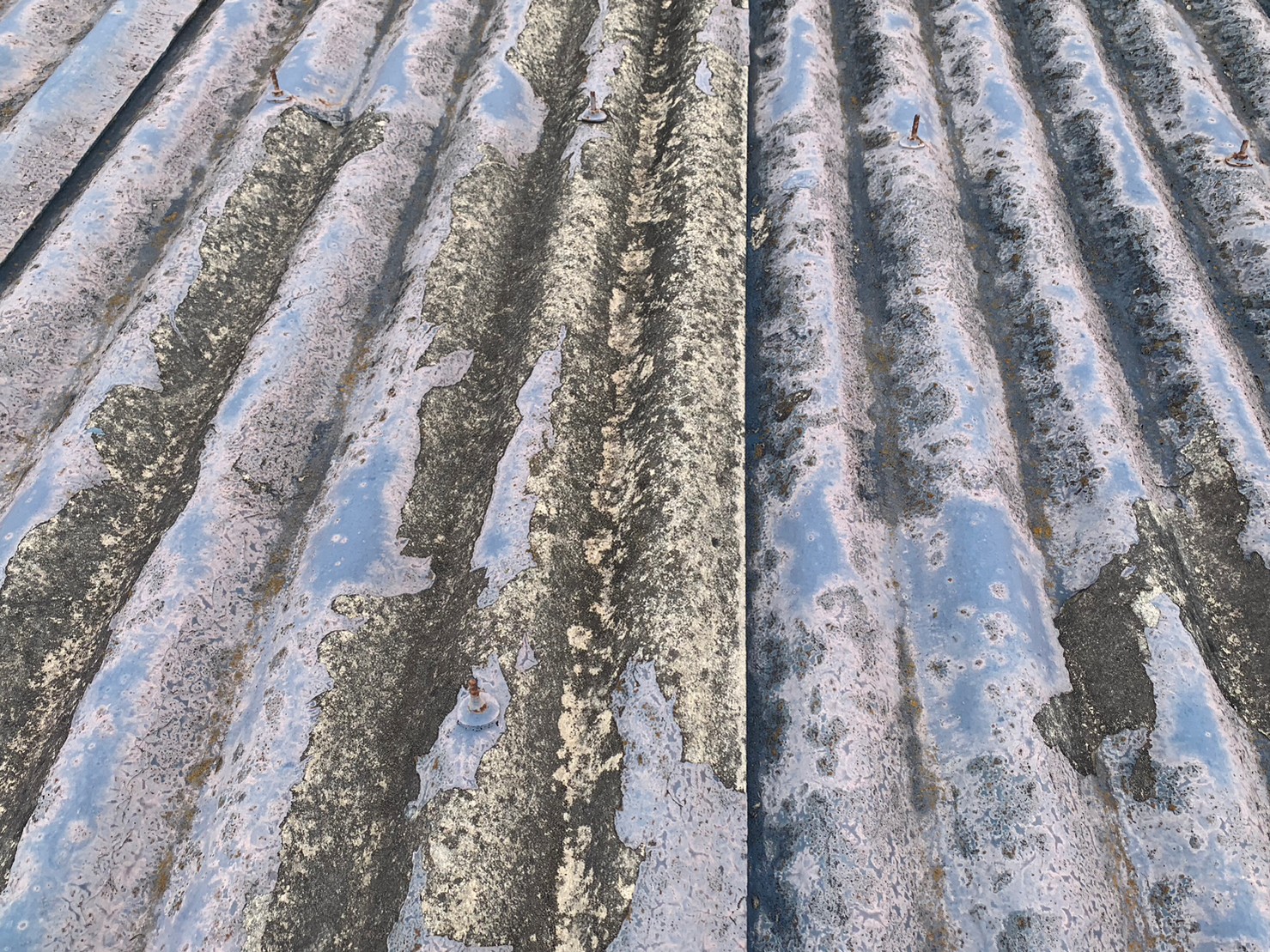 桑名市のスレート屋根のメンテナンス