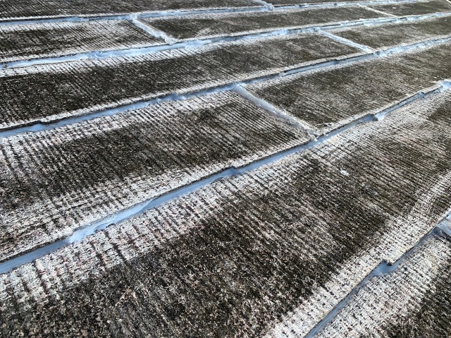 水分を含んでいるスレート屋根