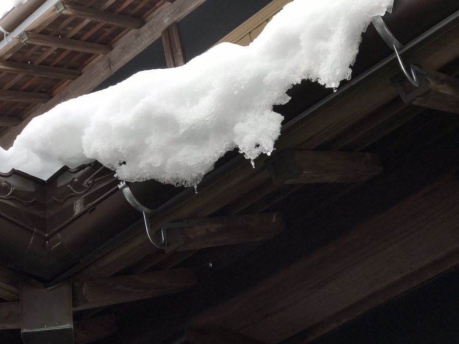 三重県大雪、雪害