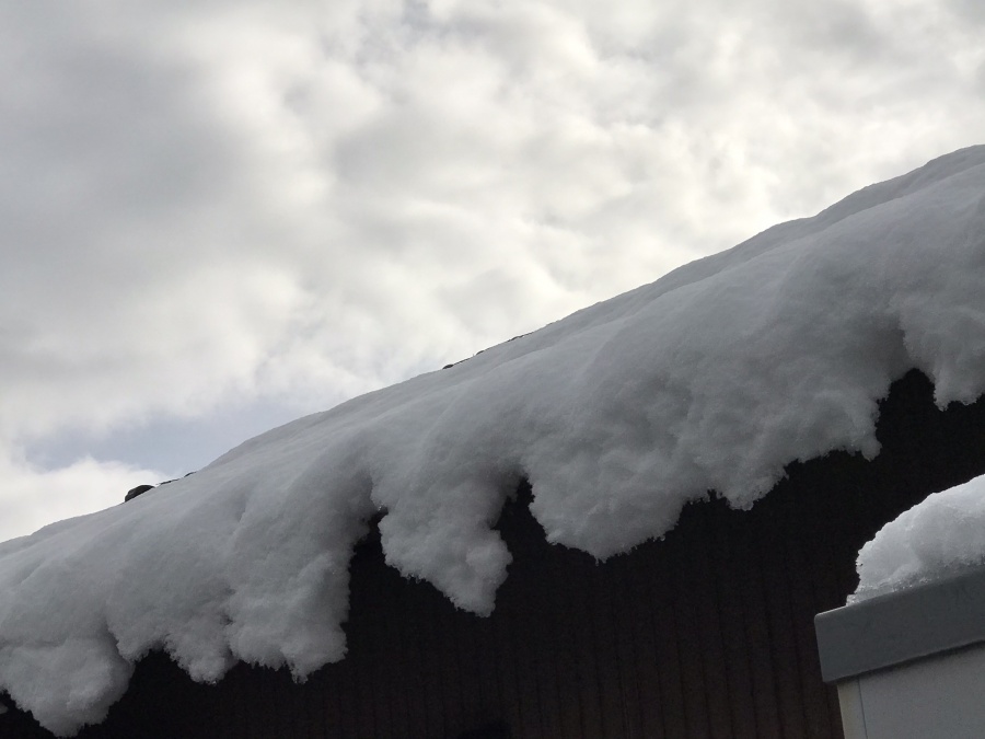 三重県、菰野町雨どい破損、雪害