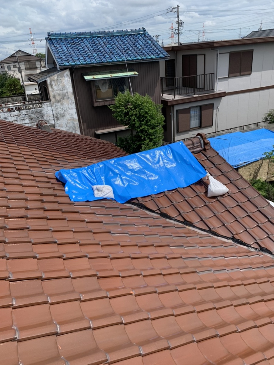 ブルーシート仮養生