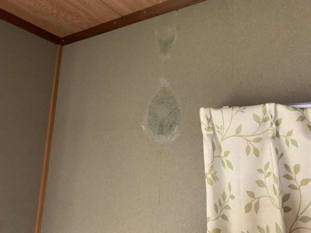 雨漏り、室内壁