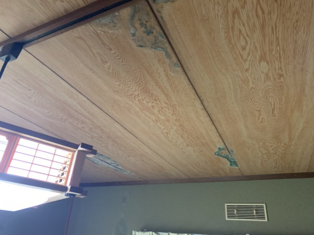 雨漏れ、天井