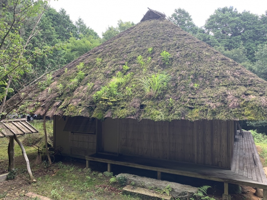 茅葺屋根、雨漏れ