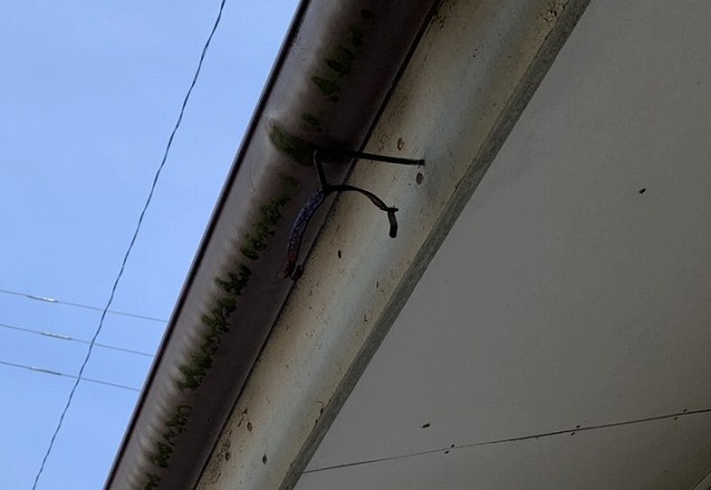 留め具が外れている雨樋