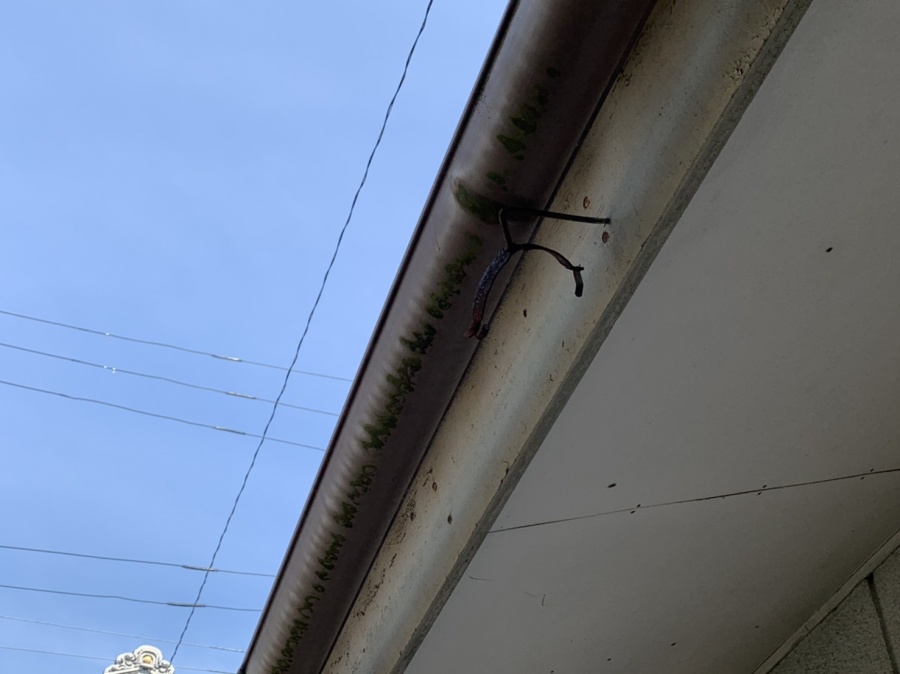 雨樋金具はずれ