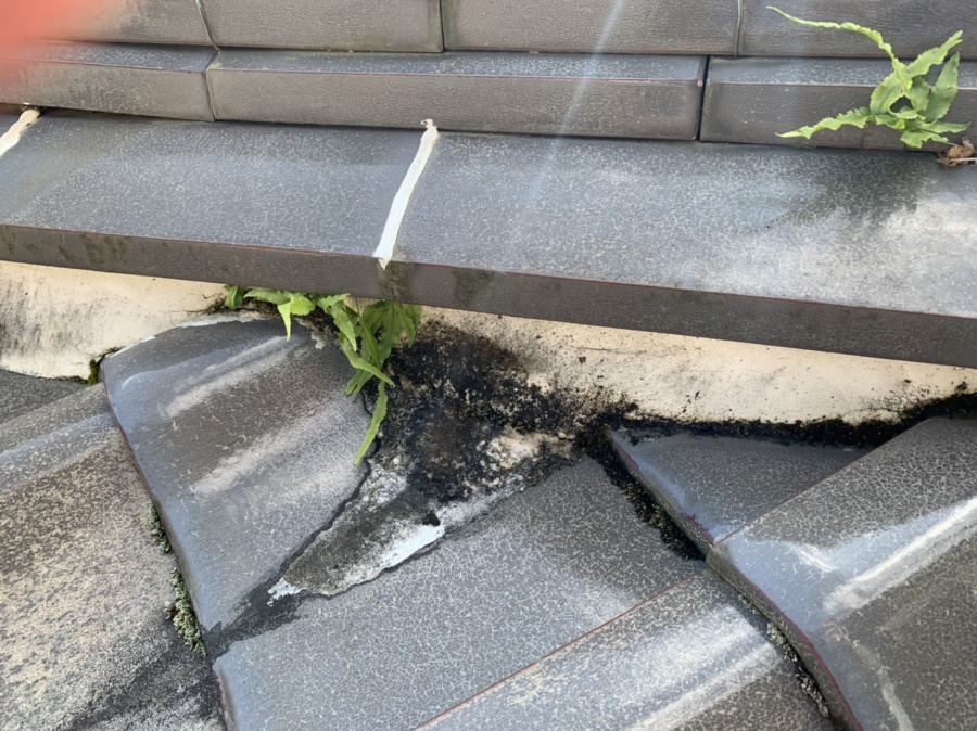 モニエル瓦のコケと草