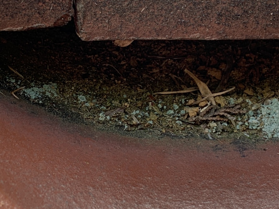 いなべ市、雨漏り修理、漆喰