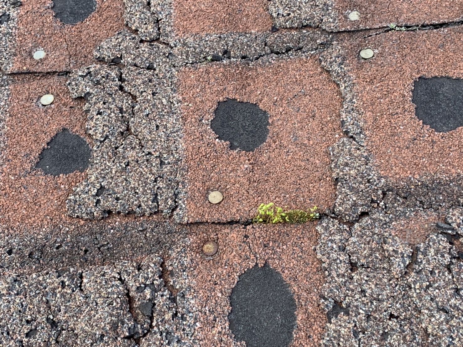 四日市市のアスファルトシングル屋根の葺き替え