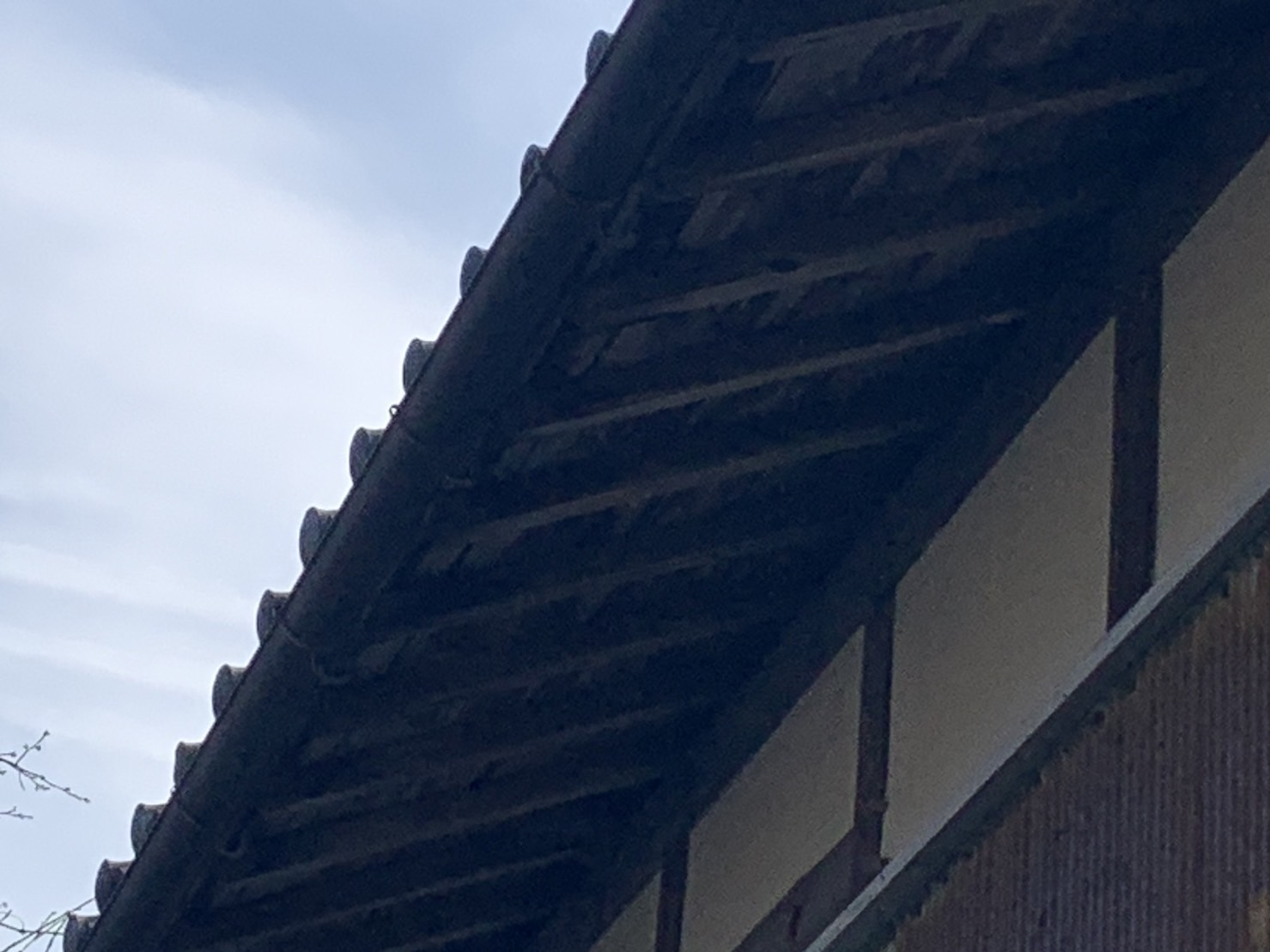 菰野町の雪害による雨樋破損