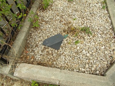 台風被害　街の屋根や四日市