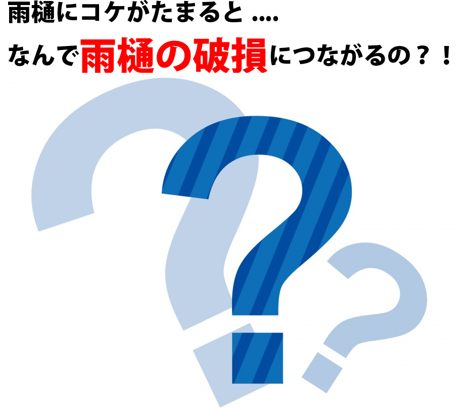 雨樋にコケがたまると.... なんで雨樋の破損につながるの？！