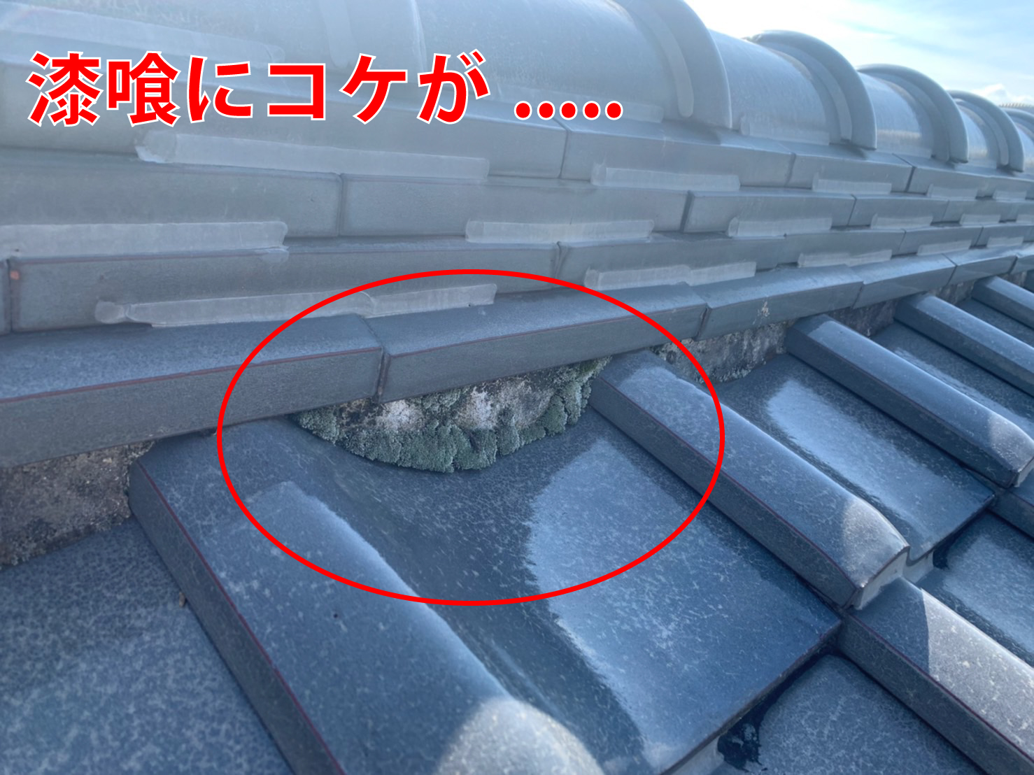 津市の和瓦のお宅、漆喰にコケが生えている状態