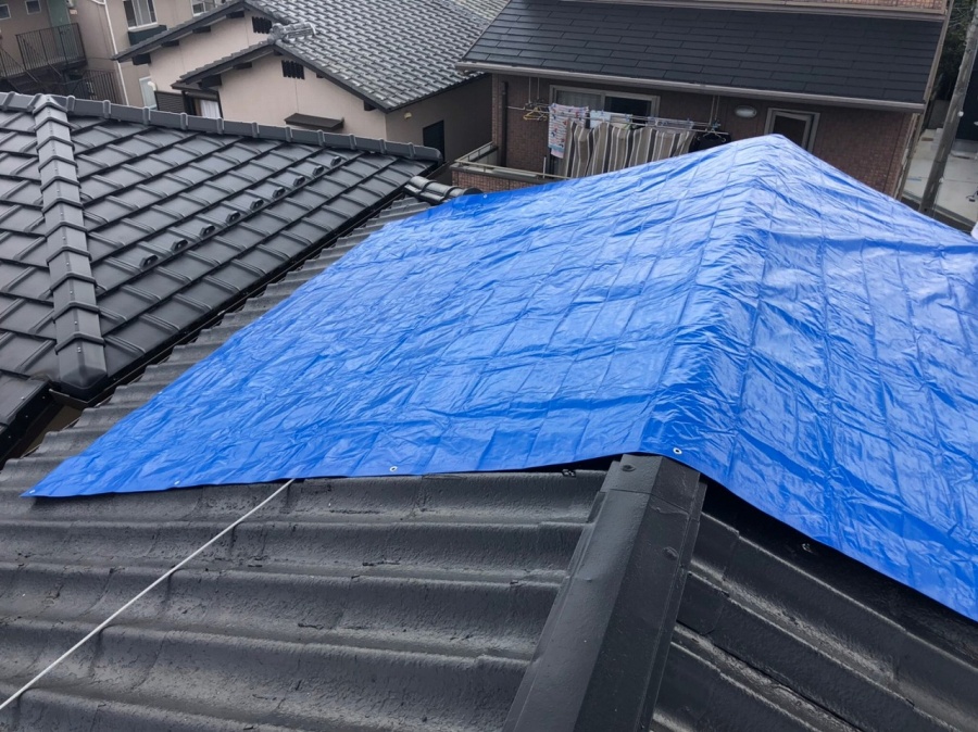 ブルーシート処置