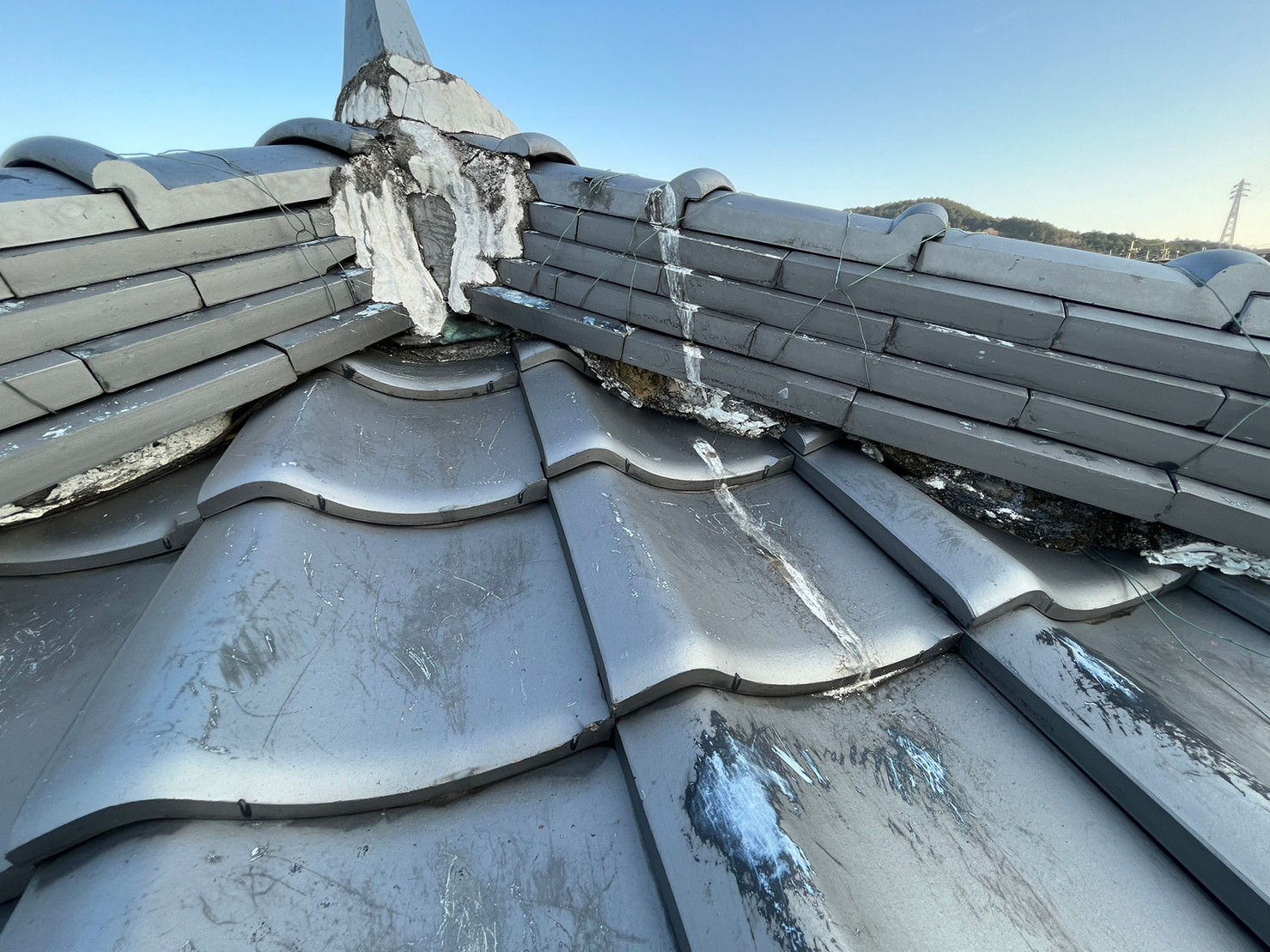 彦根市　屋根の状態