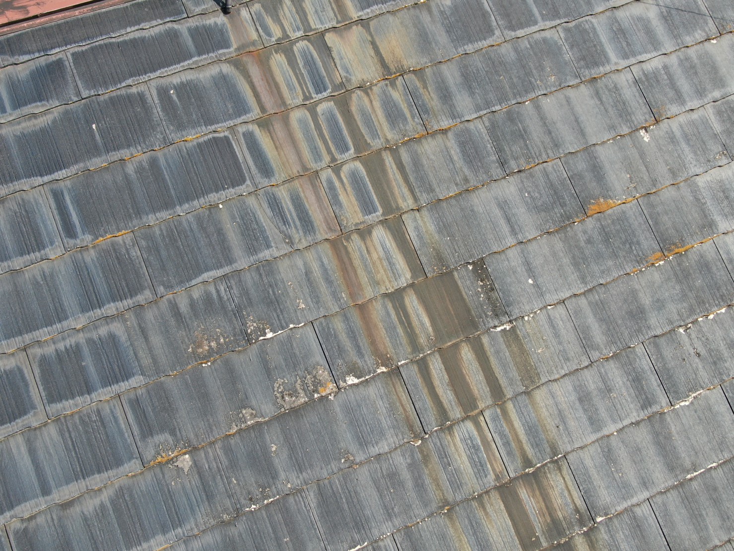 彦根市　スレート屋根の状況