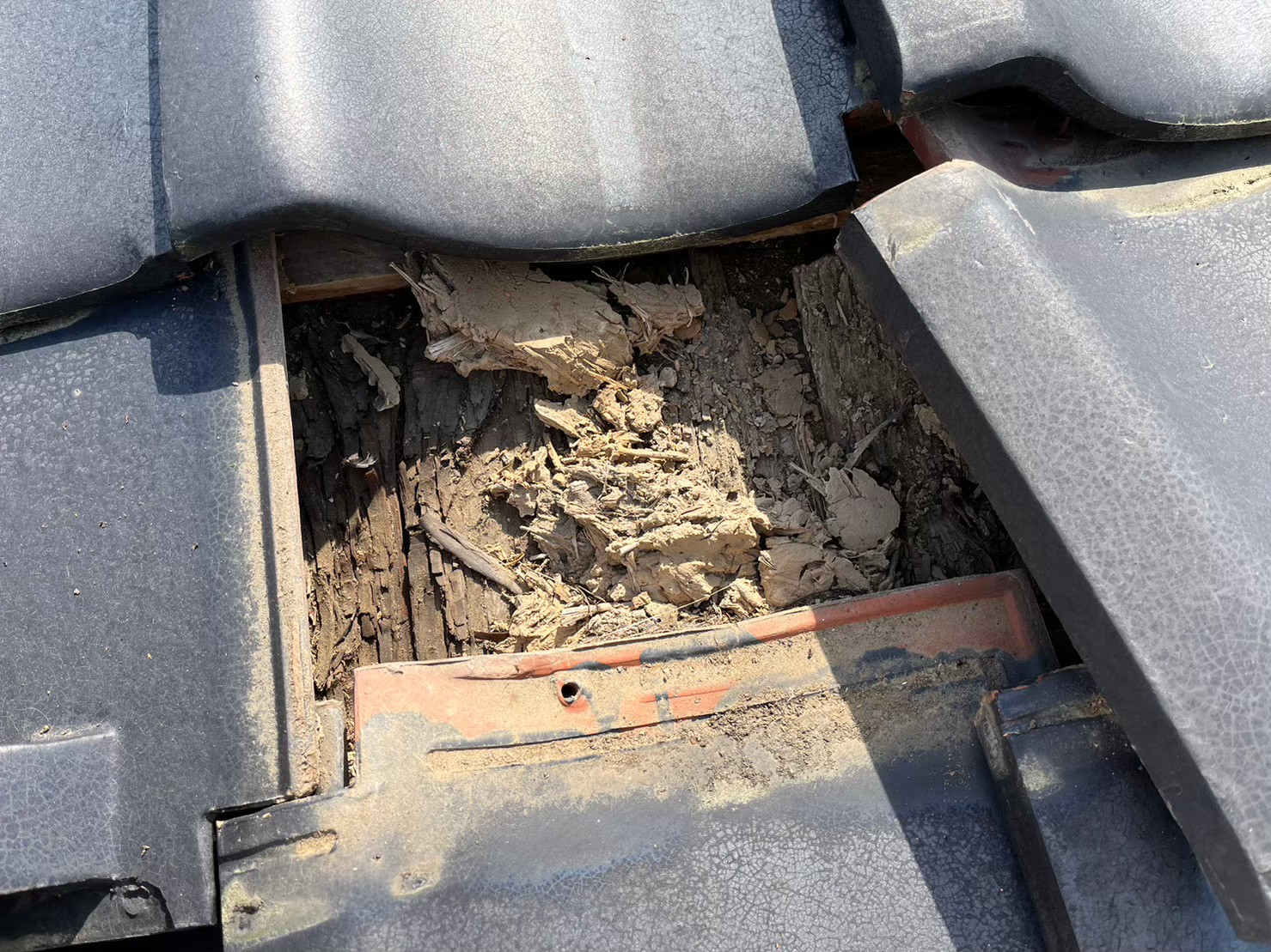 滋賀県草津市　瓦屋根点検